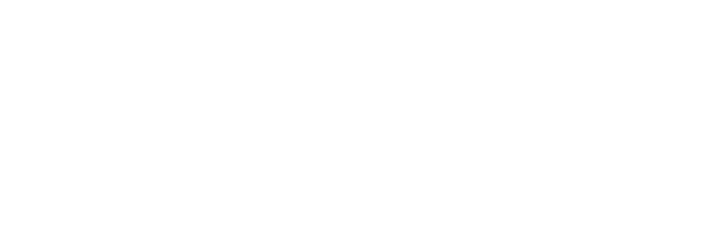zimmer logo 1