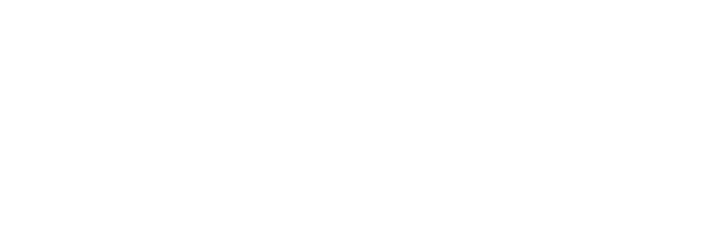 zimmer logo 2