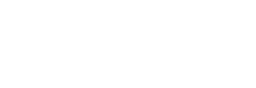 zimmer logo 3
